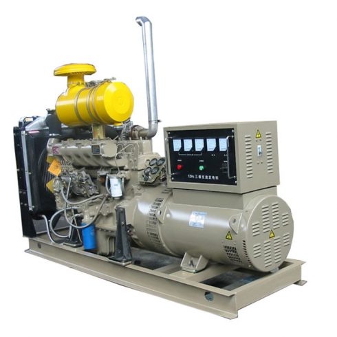 100kw 125kva dieselový generátor Ricardo pro Jižní Afriku